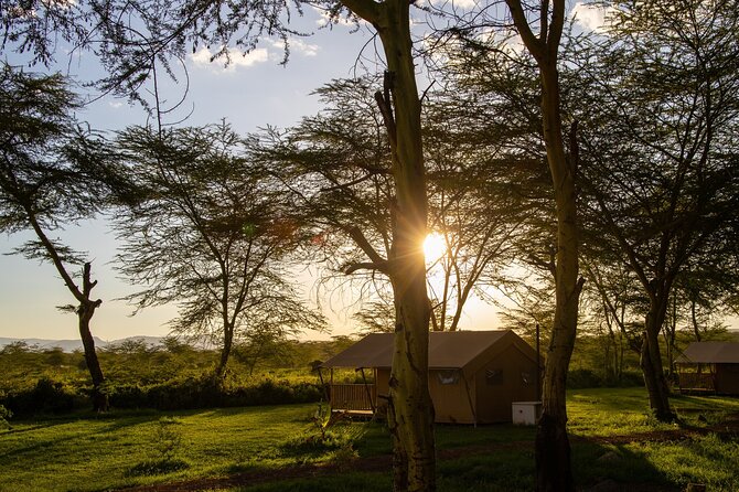 From Arusha: 5 Days Classic Safari Cats, Calves & Crater - Price and Value: What $1,254 Really Buys