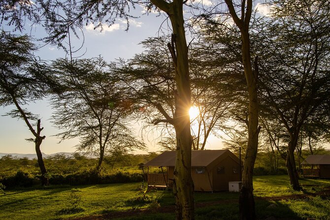 From Arusha: 7-Day Discovery of the real Africa from Lake Manyara - Open-Roof safari drives, the Arusha-to-Lake Manyara rhythm