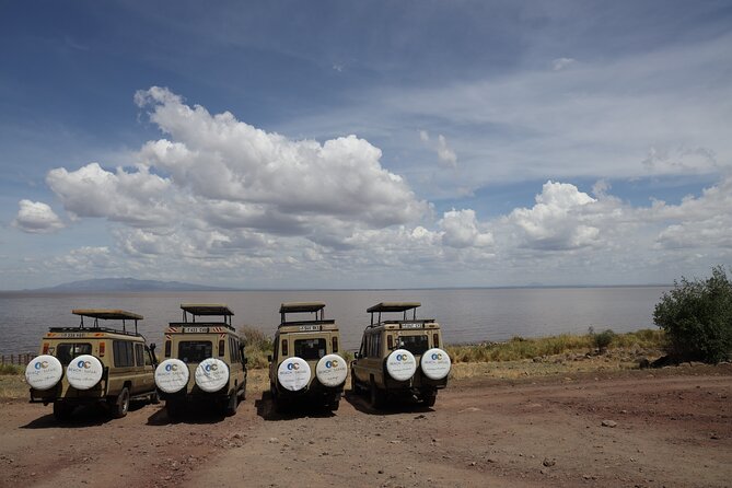 From Arusha: 7-Day Discovery of the real Africa from Lake Manyara - Day 3 Lake Manyara National Park: the tree-climbing lion factor