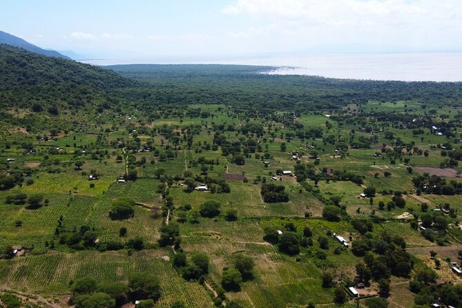 From Arusha: 9 Days Private Guided Classic Game Drive in Tanzania - Tarangire National Park: elephants and open-park viewing
