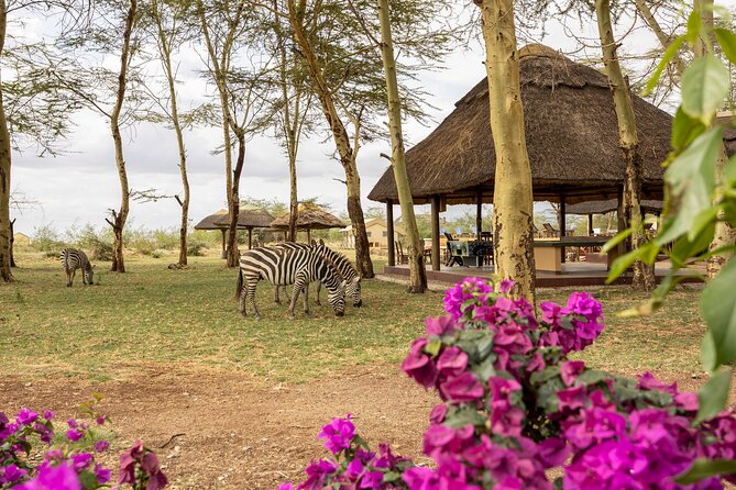 From Arusha: 9 Days Private Guided Classic Game Drive in Tanzania - Serengeti full-day drives: Great Migration odds, with real flexibility
