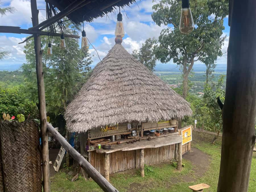 From Arusha: Coffee Farm and Mangalia Waterfalls Tour - Coffee farm and Mangalia Waterfalls, what this day feels like
