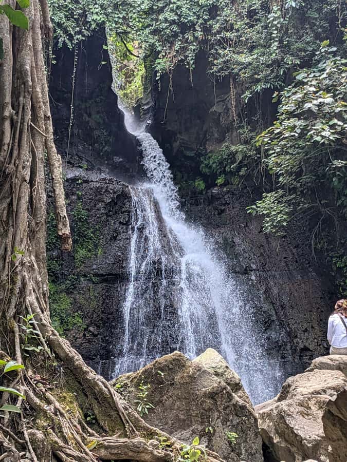 From Arusha: Coffee Farm and Mangalia Waterfalls Tour - Coffee farm bean to brew: what you learn and why it matters