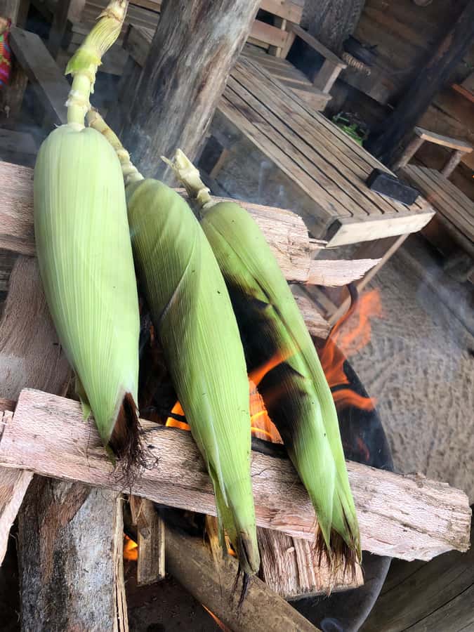 From Arusha: Coffee Farm and Mangalia Waterfalls Tour - Mangalia Waterfalls: the swim, the photos, and the short walk rhythm