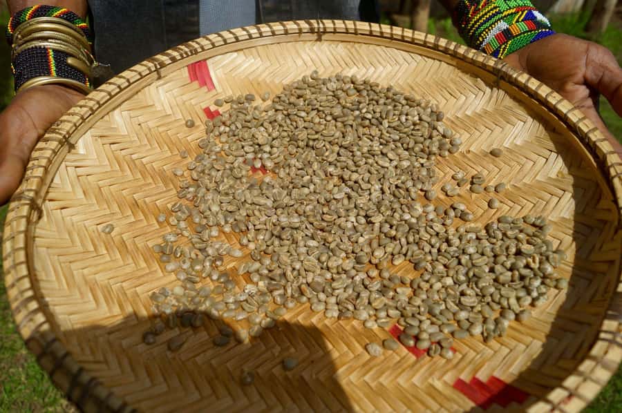 From Arusha: Coffee Farm and Mangalia Waterfalls Tour - Price and logistics: what 55 USD gets you, and what costs extra