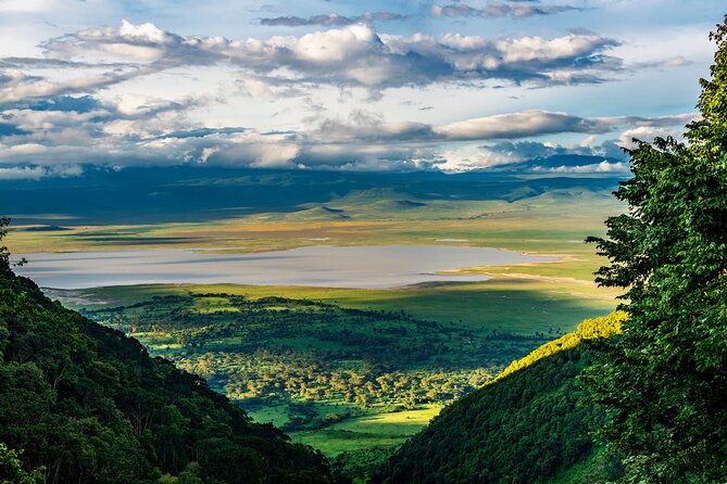From Arusha : Days Safari Northern Circuit to Maasai Boma - Day 4 in Lake Manyara: views, lions, and a classic finish