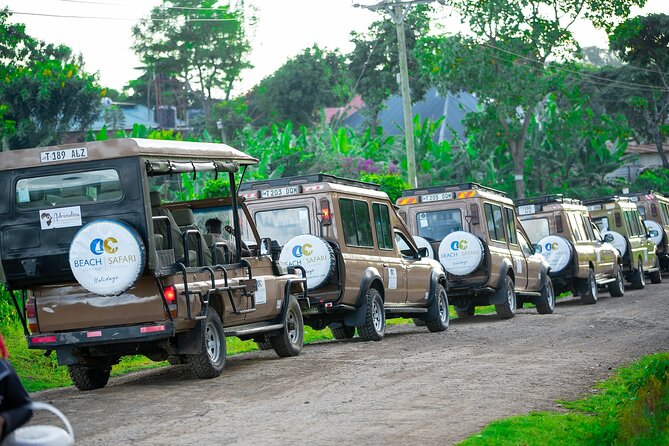 From Arusha: Tarangire and Ngorongoro Crater 3-Day Private Safari - What a Day-by-Day Safari Feels Like (Without the Rush)