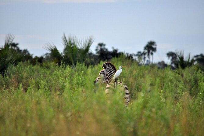 From Arusha: Tarangire and Ngorongoro Crater 3-Day Private Safari - Price and Logistics: Is This the Right Cost for Your Safari Goals?