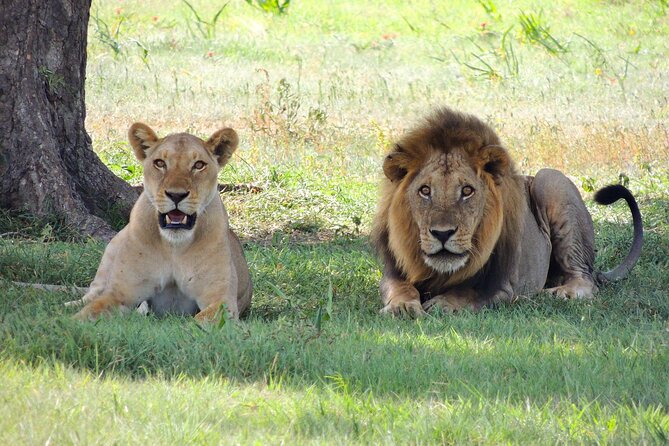 From Arusha to Zanzibar : 11 days From Bush to Beach safari - Ngare Sero waterfalls and the Hominid Footprints