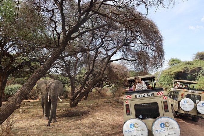 From Arusha to Zanzibar : 11 days From Bush to Beach safari - Tarangire National Park: elephants and a wildlife-heavy focus