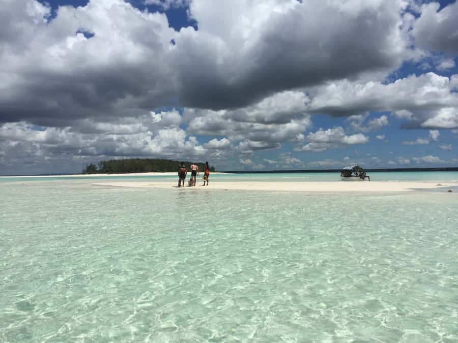 From Kendwa: Mnemba Boat Trip and Dolphin Snorkel Adventure - Snorkeling Mnemba Atoll reef: clear water and a guide who helps you see fish