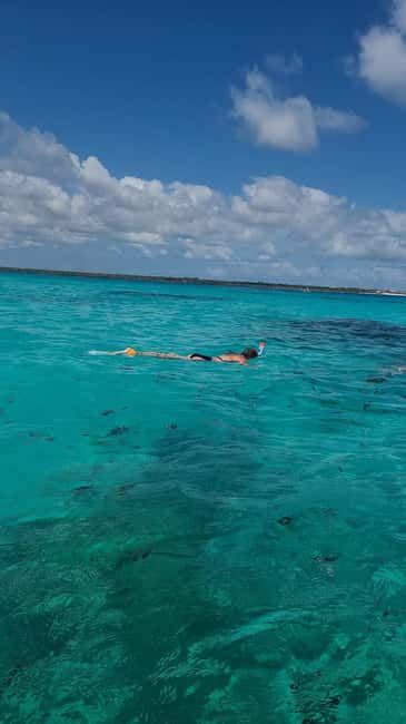FROM KENDWA; Mnemba snorkelling and Dolphin tour - What to bring, and how to act once you’re on Mnemba