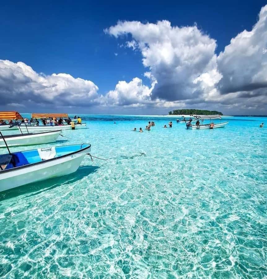 FROM KENDWA; Mnemba snorkelling and Dolphin tour - Kendwa pickup and the dhow ride that sets your expectations