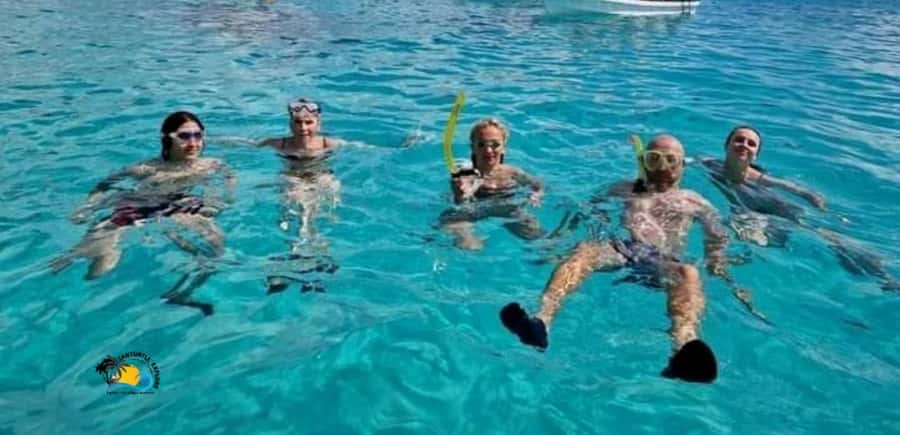 From Kendwa/Nungwi: Mnemba Dolphins with Snorkel Tour - Price and Value: Is $56 Worth It?