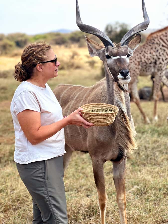 From Moshi or Arusha: Serval Wildlife Sanctuary Trip - Pickup, the 1.5-hour transfer, and a guided Kilimanjaro stop
