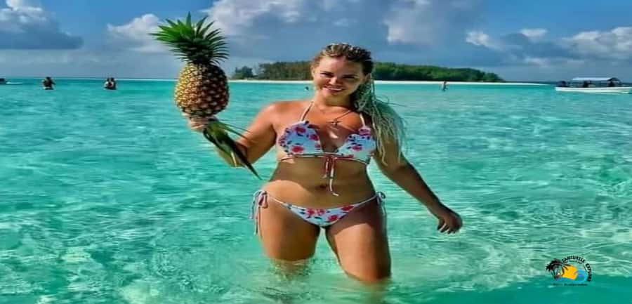 From Nungwi/Kendwa: Mnemba Atoll Starfishes & Dolphins Tour - FAQ