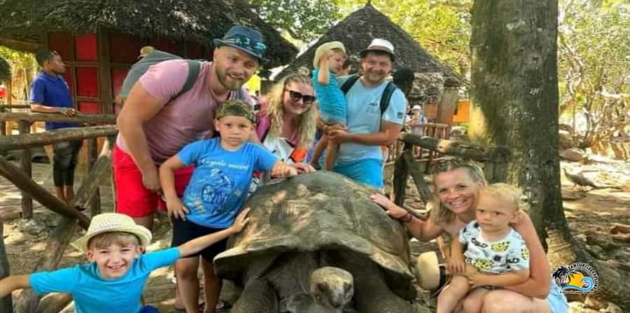 From Nungwi/Kendwa: Prison Island & Nakupenda Sandbank Tour - How this 7-hour Zanzibar day trip is built