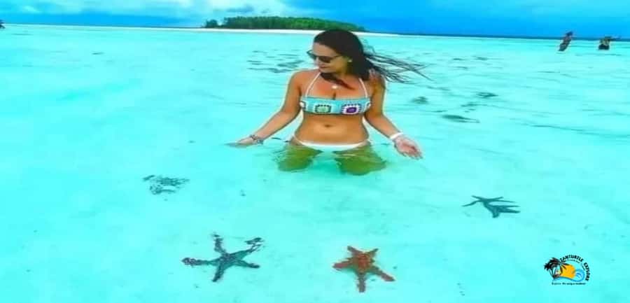 From Nungwi: Mnemba Island Dolphin Watching and Snorkeling - Should you book from Nungwi to Mnemba for dolphins and snorkeling?