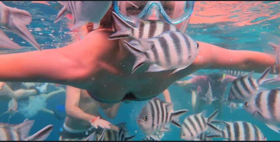 FROM NUNGWI; MNEMBA SNORKELING AND DOLPHIN TOUR - Mnemba from Nungwi, why this marine route feels special