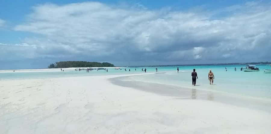 FROM NUNGWI; MNEMBA SNORKELING AND DOLPHIN TOUR - Dolphin time, how close you may get and why it varies