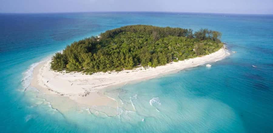 FROM NUNGWI; MNEMBA SNORKELING AND DOLPHIN TOUR - The sandbank and fruit break, where the day slows down