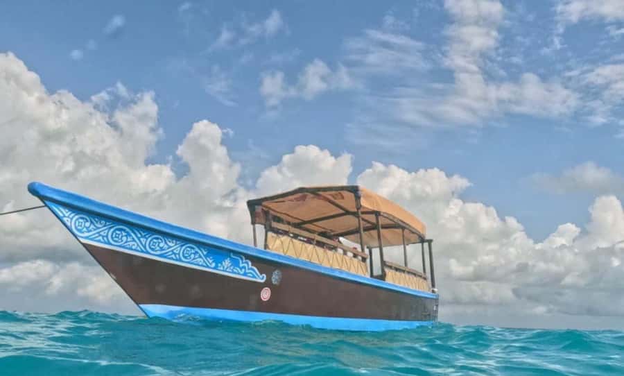 FROM NUNGWI; MNEMBA SNORKELING AND DOLPHIN TOUR - Price and what $45 gets you in real value