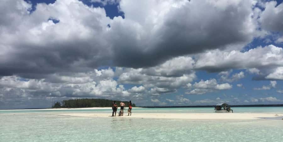 FROM NUNGWI; MNEMBA SNORKELING AND DOLPHIN TOUR - Who should book this tour, and who should skip it