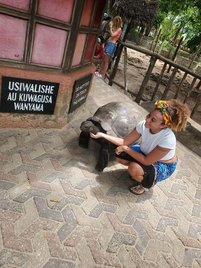 From Nungwi: Prison Island & Nakupenda Sandbank Escape - Stop 1, Prison Island: tortoises, ruins, and how to use your time