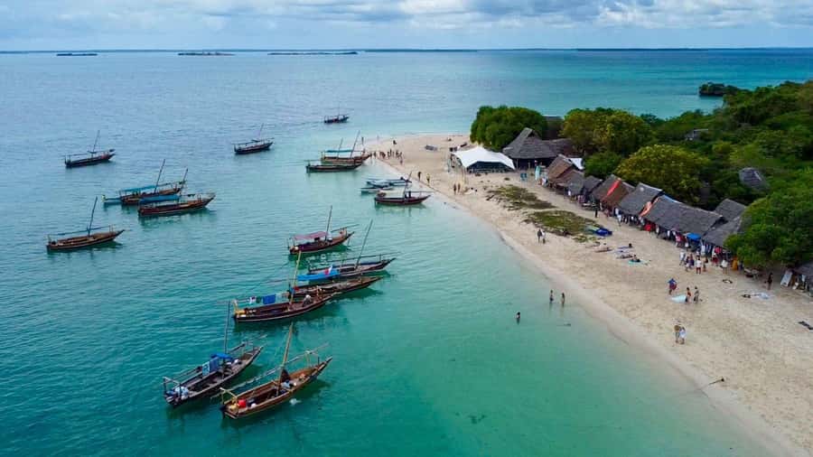From Nungwi: Safari Blue Snorkeling Tour with Lunch - From Nungwi To Fumba, The Dhow Ride Is Part Of The Point