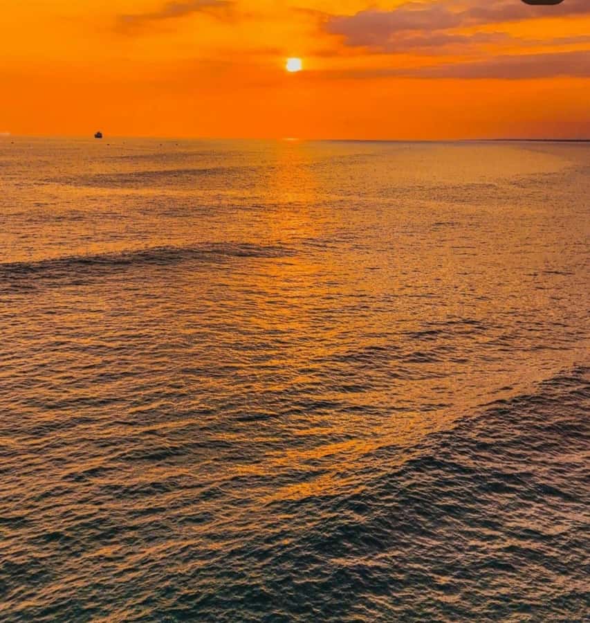 From Nungwi: Sunset Dhow Cruises - Key highlights you should plan for