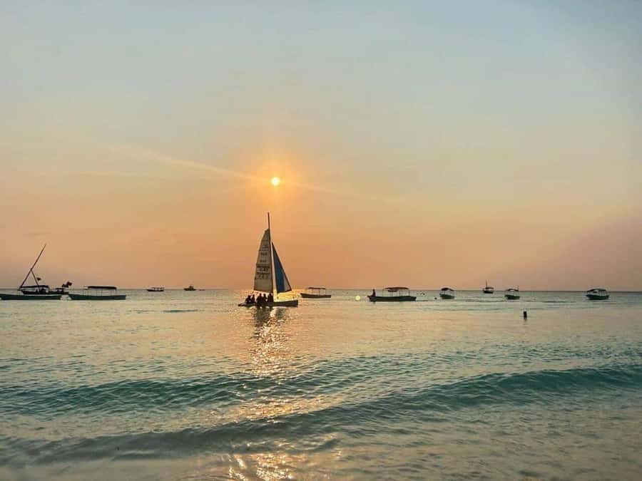 From Nungwi: Sunset Dhow Cruises - Price and value: what $14 per person really buys