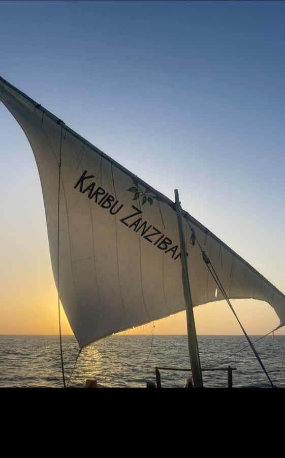 From Nungwi: Sunset Dhow Cruises - Traditional dhow sailing on the Indian Ocean, and what it feels like