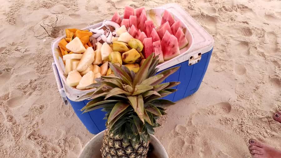 From Stone Town: Sandbank picnic with sea food BBQ Lunch - Who this tour suits best, and who should rethink it
