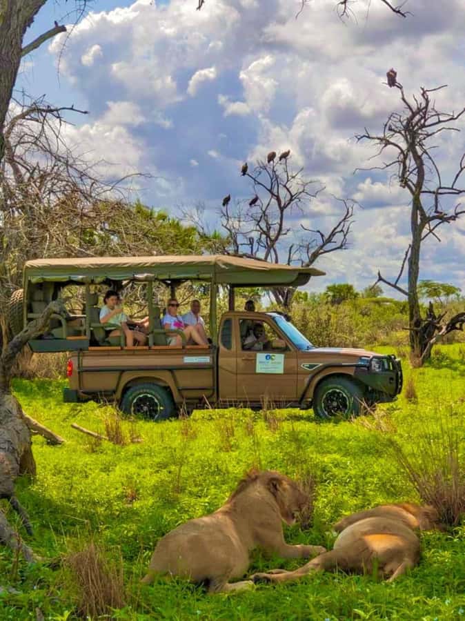 From Zanzibar: 2 Days 1 Night Selous GR Safari with Flights - Price and value: what $905 really buys you