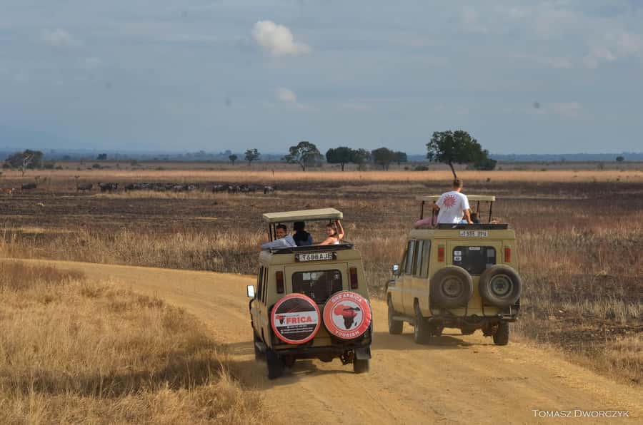 From Zanzibar: day Safari to Mikumi National Park - Zanzibar to Mikumi in one day: what this trip is really for
