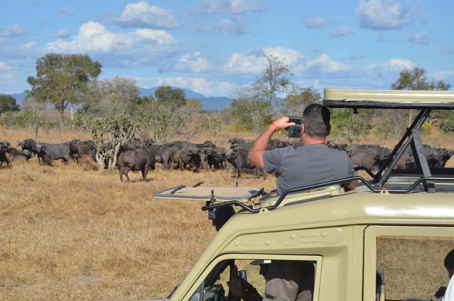 From Zanzibar: day Safari to Mikumi National Park - Mikumi Airstrip to game drive: how the briefing helps you watch better