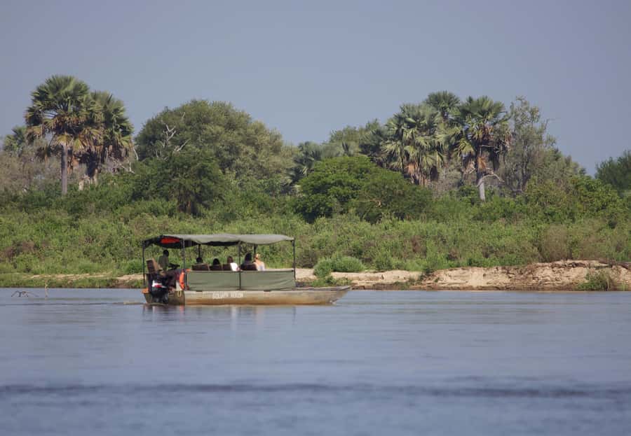 From Zanzibar: Day Safari to Selous Game Reserve with flight - Lunch Break and the Afternoon Drive That Keeps the Day Moving