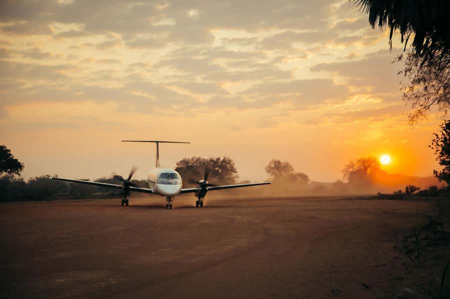 From Zanzibar: Day Selous Game Reserve Safari with Flights - The Best Break: Bush Lunch Inside the Reserve