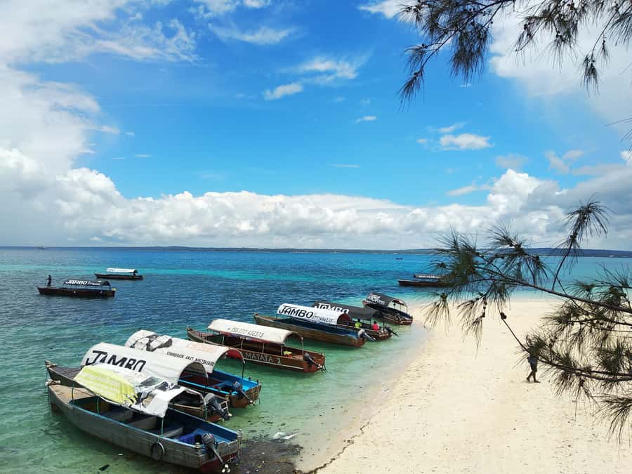 From Zanzibar: Half-Day Prison Island Tour - Timing, Pickup, and the Old Fort Meeting Point