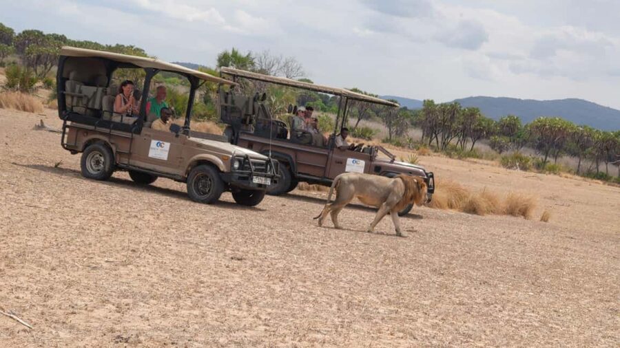 From Zanzibar: Mikumi Day Safari without hotel pickup - Practical Tips for Your Zanzibar to Mikumi Day Trip