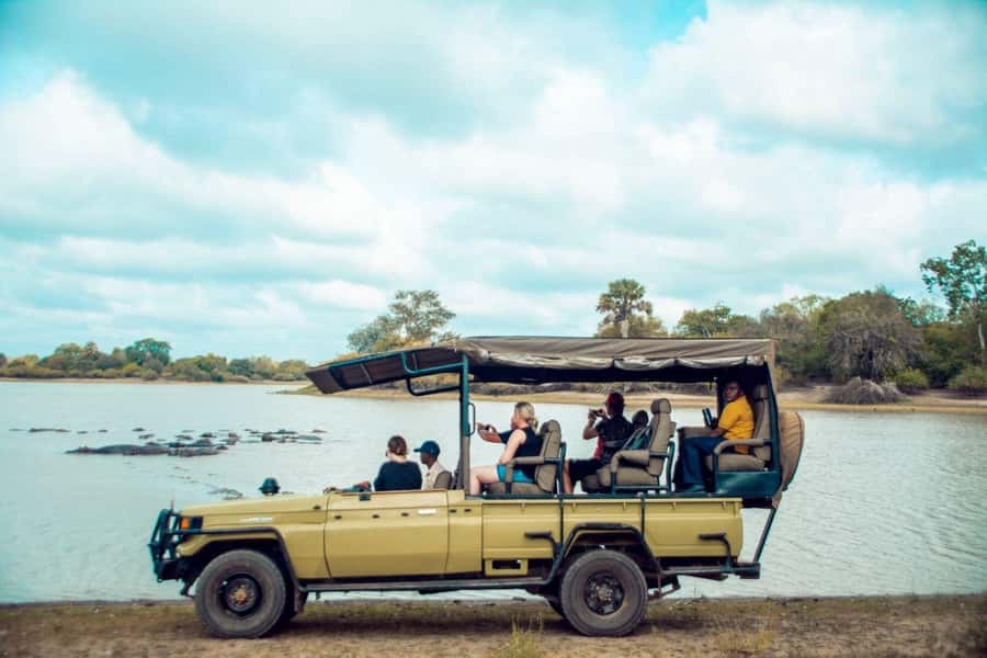 From Zanzibar: Mikumi Day Trip Safari By Flight. - Lunch Inside the Park, and Why That Timing Matters