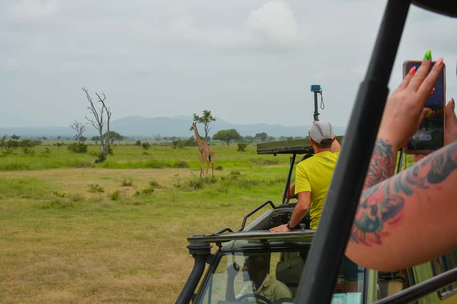 From Zanzibar: Mikumi National Park Guided Safari - Should You Book Njema Safari to Mikumi?