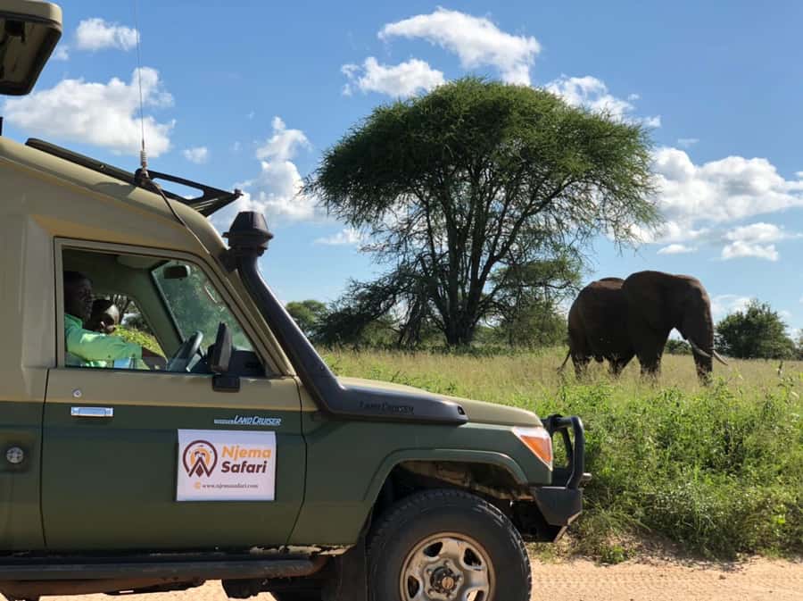 From Zanzibar: Mikumi National Park Guided Safari - Your Guide Matters: The Human Side of Safari