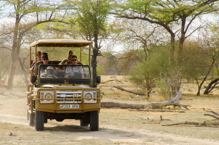 From Zanzibar: Mikumi National Park Guided Safari - Timing and Logistics: Where This Day Can Feel Tight