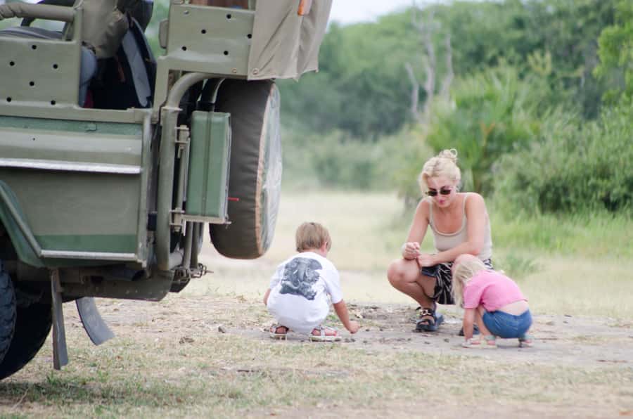 From Zanzibar: Mikumi National Park Guided Safari - Price and Value: Is $550 a Good Deal for One Day?
