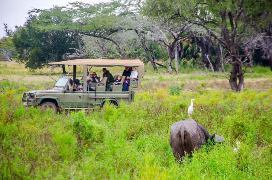 From Zanzibar: Mikumi National Park Guided Safari - Who This Safari Fits Best (and Who Might Want a Different Option)