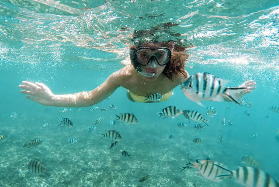 From Zanzibar: Mnemba Boat Tour with Snorkeling & Dolphine - Getting to Mnemba: Nungwi or Kendwa, then out on the turquoise