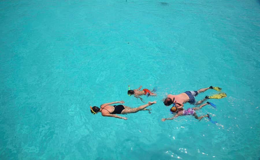 From Zanzibar: Mnemba Boat Tour with Snorkeling & Dolphine - Ethics and crowd reality: how to enjoy it while staying mindful