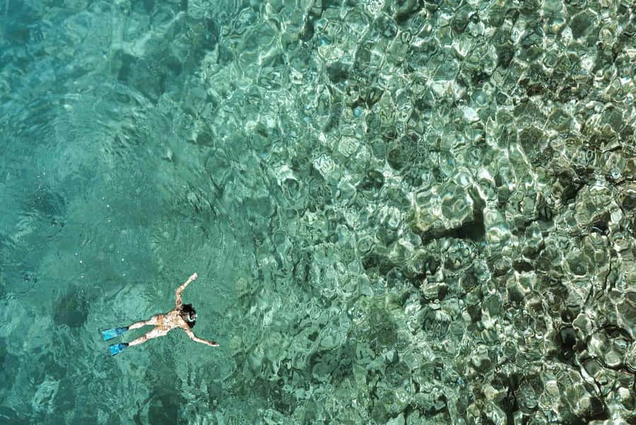 From Zanzibar: Mnemba Boat Tour with Snorkeling & Dolphine - Price and value: is $28 per person a fair deal?