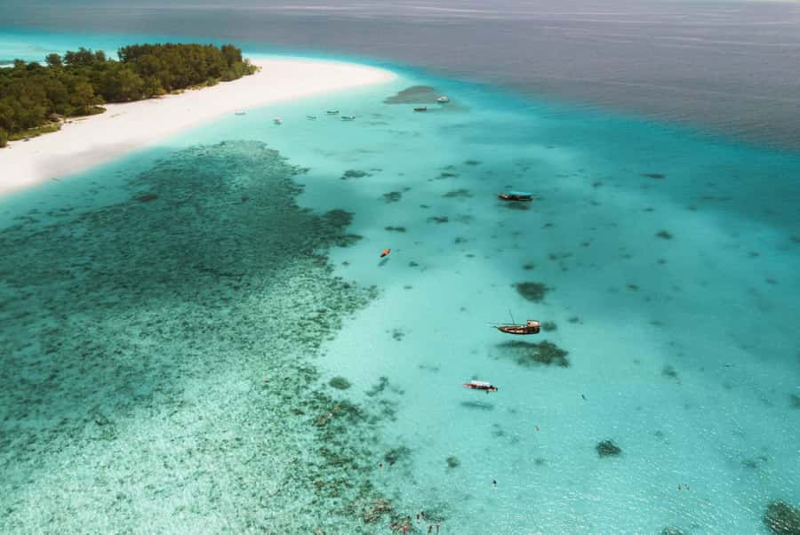 From Zanzibar: Mnemba Boat Tour with Snorkeling & Dolphine - Dolphin watching and dolphin swim: common sightings, wild reality